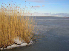 Bodden bei Eis
