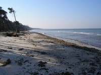 der wildromantische Weststrand