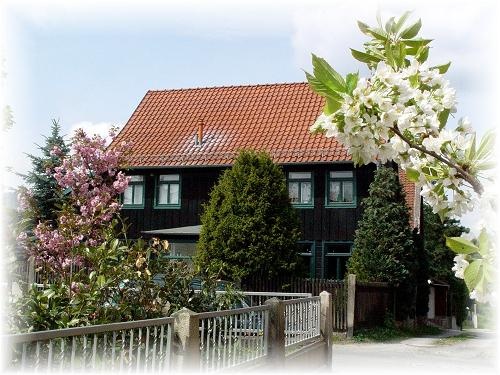 Ferienwohnung Darlingerode I 