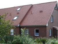 Deichmuschel Das Haus